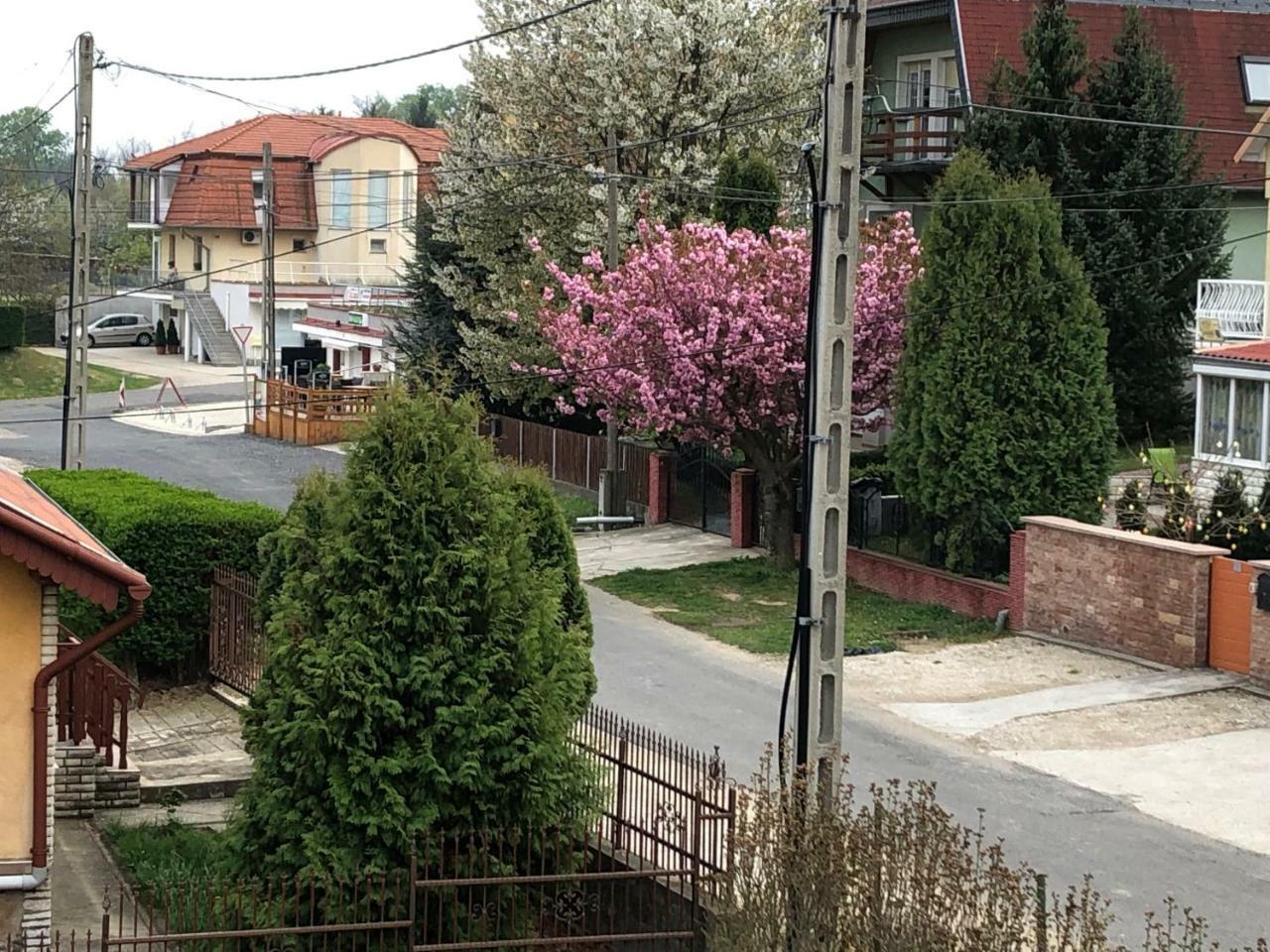 Jozsef Apartments House Zalakaros Zewnętrze zdjęcie