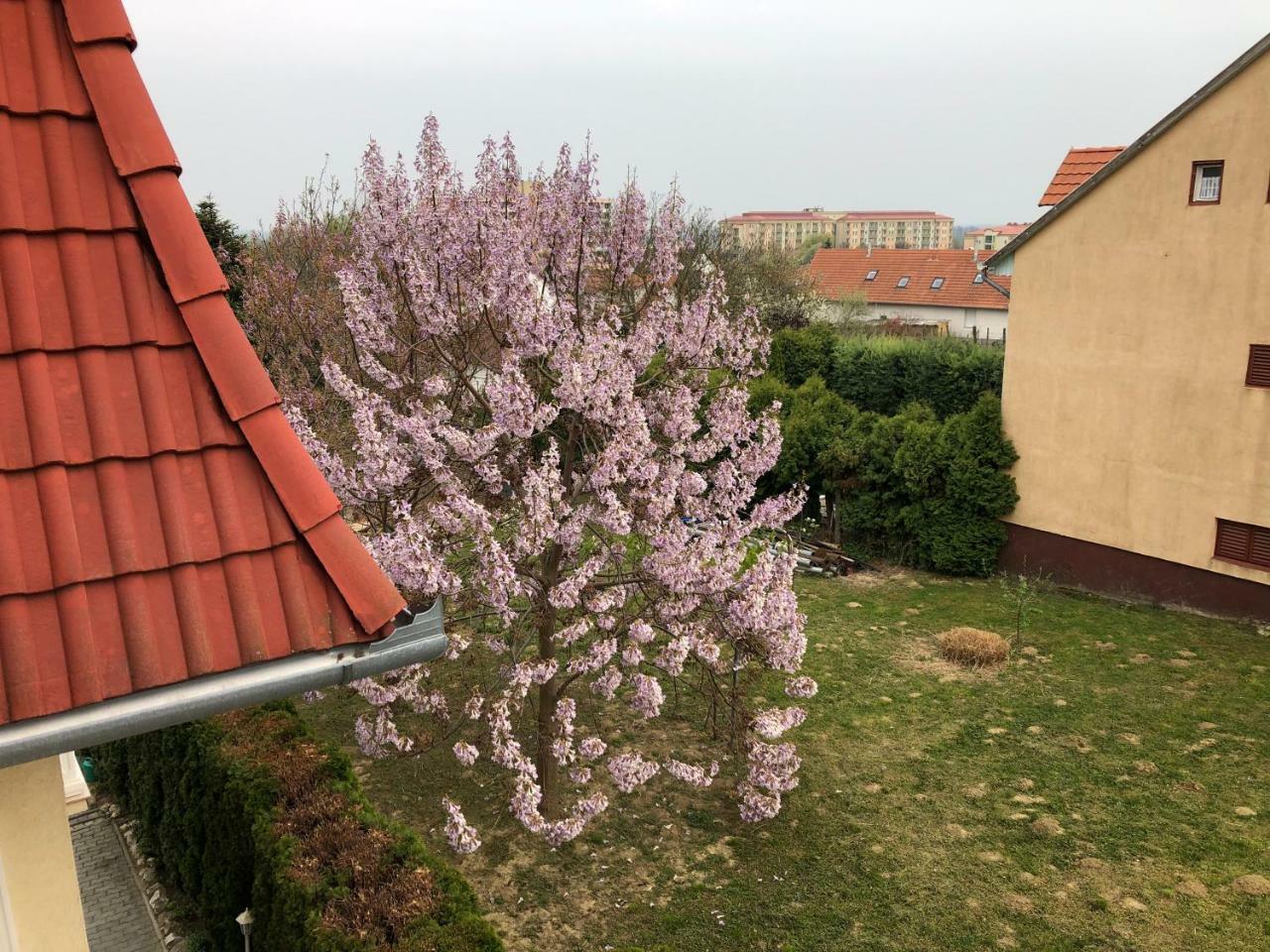 Jozsef Apartments House Zalakaros Zewnętrze zdjęcie