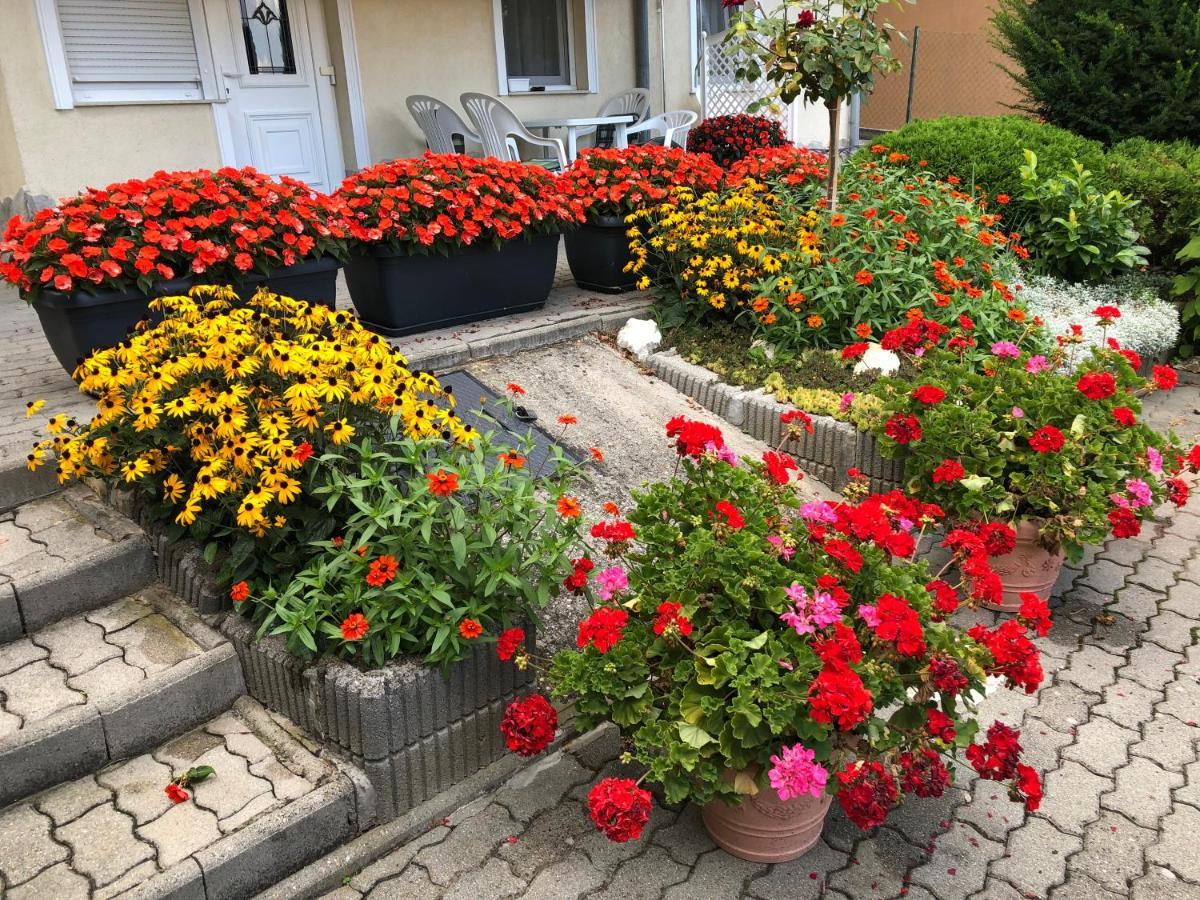Jozsef Apartments House Zalakaros Zewnętrze zdjęcie